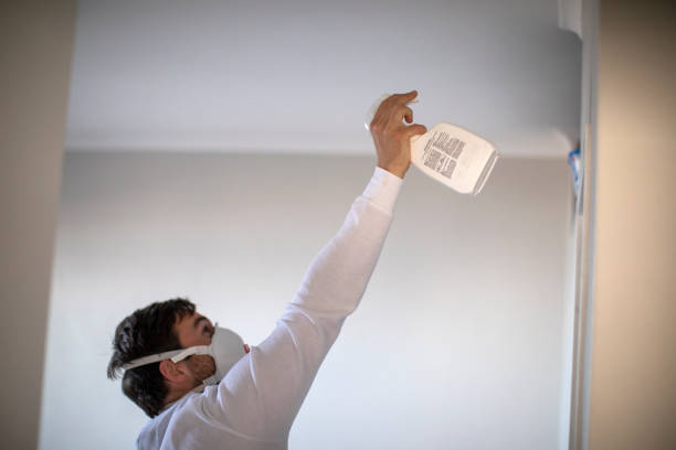 Best Mold Remediation  in Frazer, PA