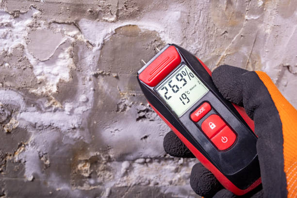 Best Local Mold Removal Service  in Frazer, PA