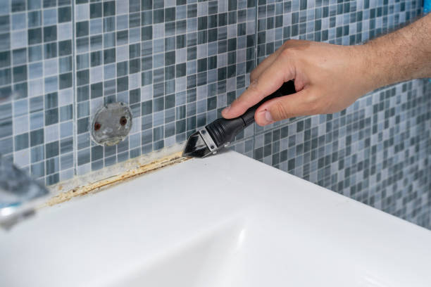 Trusted Frazer, PA Mold Removal Experts