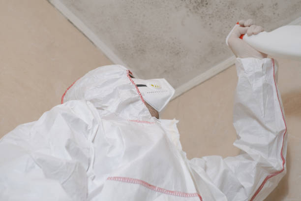 Best Crawl Space Mold Removal  in Frazer, PA